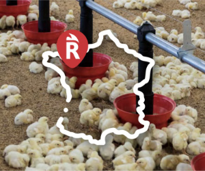 Entreprise familiale basée à Rennes depuis 1992