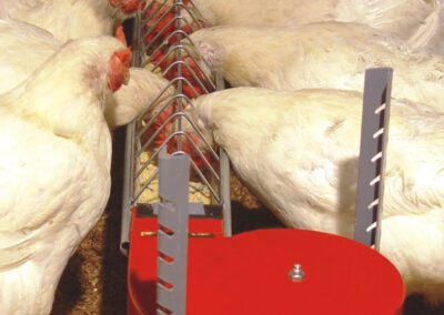 Chaîne d'alimentation