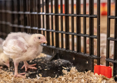 Gros plan en situation