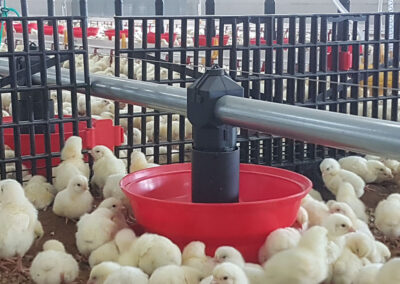 Multibeck & barrière